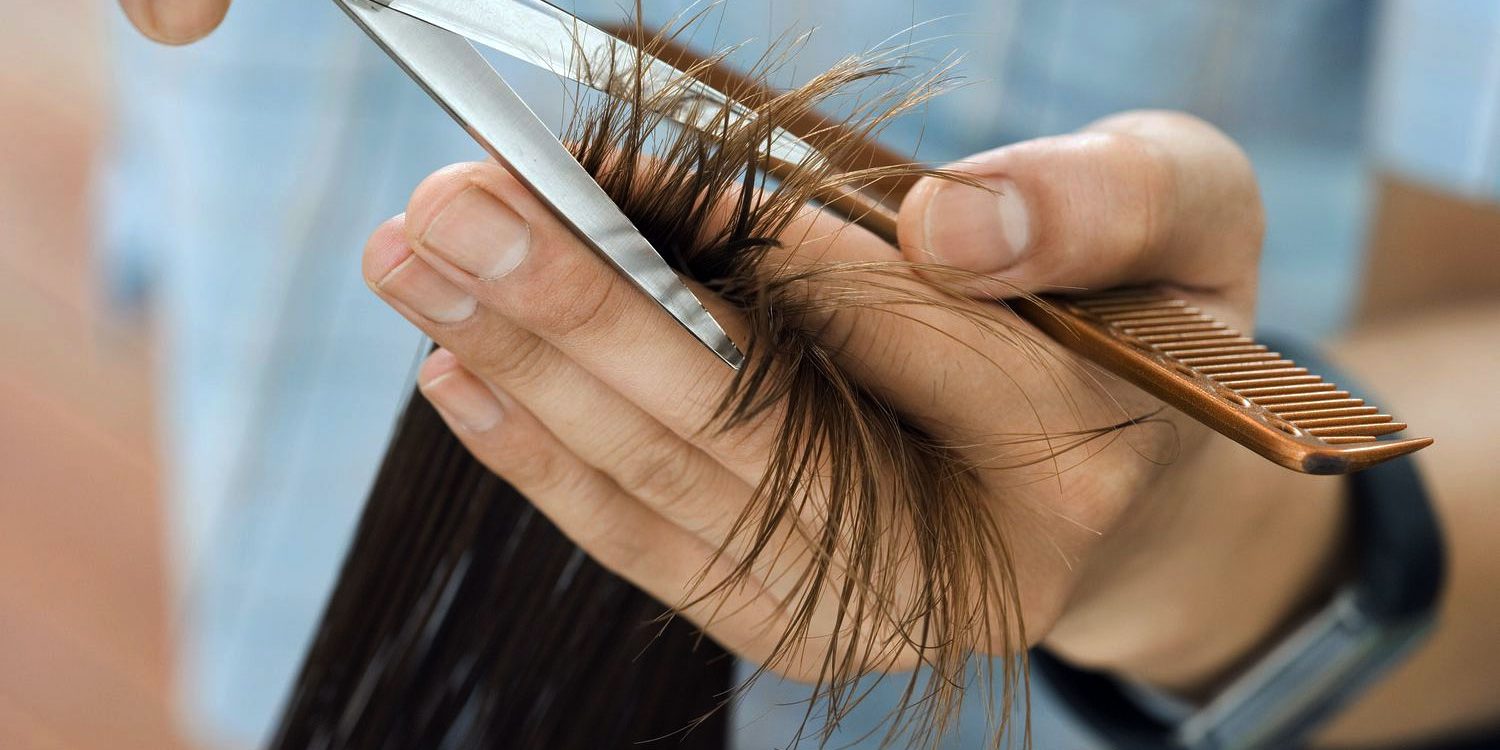 Cutting-Techniques Cutting Techniques