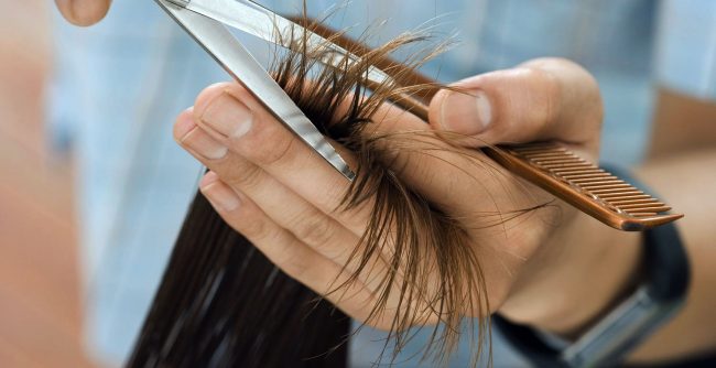Cutting-Techniques Cutting Techniques