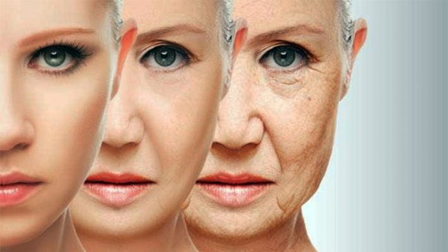 hide-wrinkles hide wrinkles